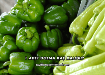 1 Adet Dolma Kaç Kalori?