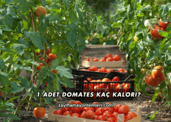 1 Adet Domates Kaç Kalori?