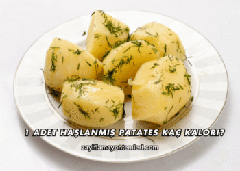 1 Adet Haşlanmış Patates Kaç Kalori?