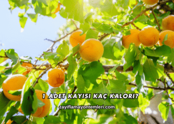 1 Adet Kayısı Kaç Kalori?