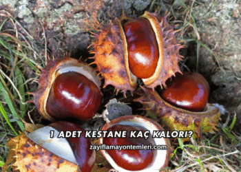 1 Adet Kestane Kaç Kalori?