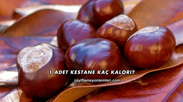 1 Adet Kestane Kaç Kalori?