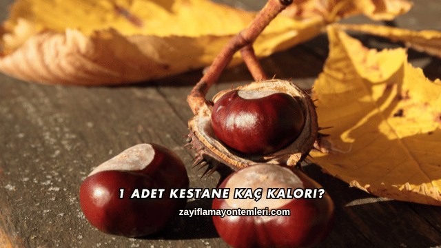 1 Adet Kestane Kaç Kalori?