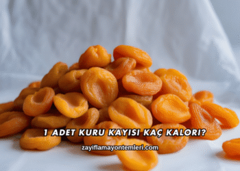 1 Adet Kuru Kayısı Kaç Kalori?
