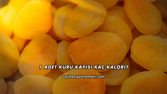 1 Adet Kuru Kayısı Kaç Kalori?
