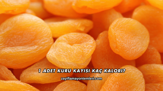 1 Adet Kuru Kayısı Kaç Kalori?