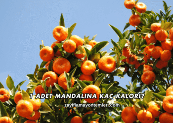 1 Adet Mandalina Kaç Kalori?