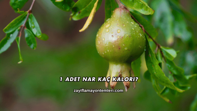 1 Adet Nar Kaç Kalori?