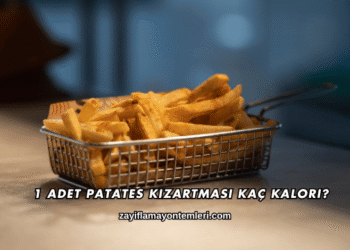 1 Adet Patates Kızartması Kaç Kalori?