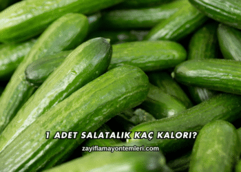 1 Adet Salatalık Kaç Kalori?