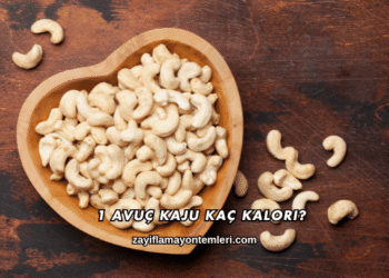 1 Avuç Kaju Kaç Kalori?