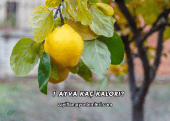1 Ayva Kaç Kalori?