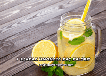 1 Bardak Limonata Kaç Kalori?