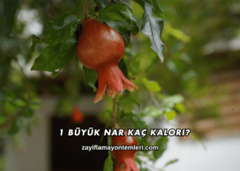1 Büyük Nar Kaç Kalori?