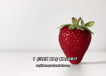 1 Çilek Kaç Kalori?