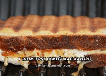 1 Dilim Tost Ekmeği Kaç Kalori?