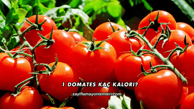 1 Domates Kaç Kalori?