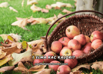 1 Elma Kaç Kalori?