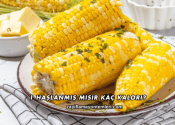 1 Haşlanmış Mısır Kaç Kalori?