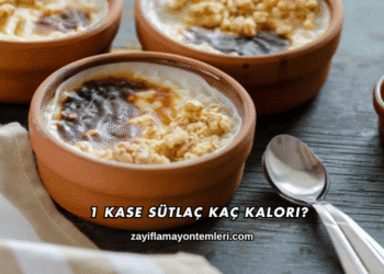 1 Kase Sütlaç Kaç Kalori?