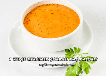 1 Kepçe Mercimek Çorbası Kaç Kalori?