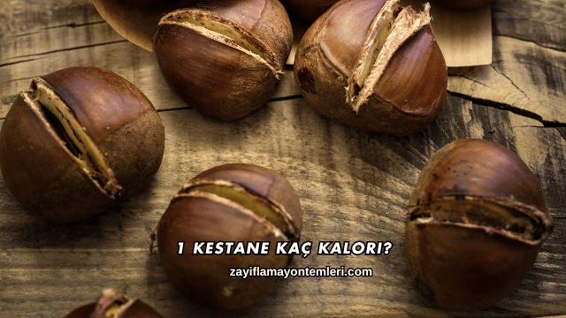 1 Kestane Kaç Kalori?