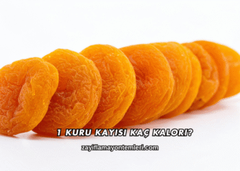 1 Kuru Kayısı Kaç Kalori?