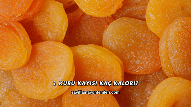 1 Kuru Kayısı Kaç Kalori?