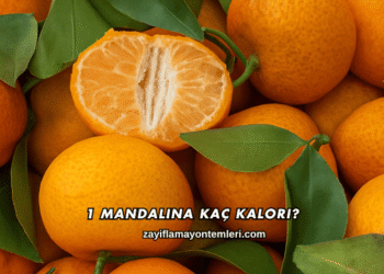 1 Mandalina Kaç Kalori?