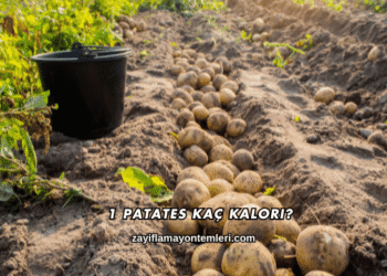 1 Patates Kaç Kalori?
