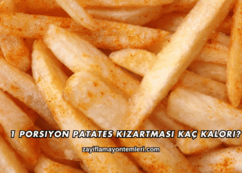 1 Porsiyon Patates Kızartması Kaç Kalori?