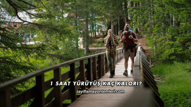 1 Saat Yürüyüş Kaç Kalori?
