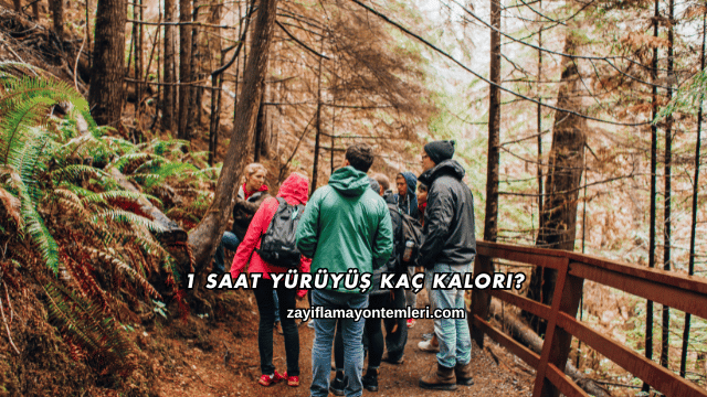 1 Saat Yürüyüş Kaç Kalori?