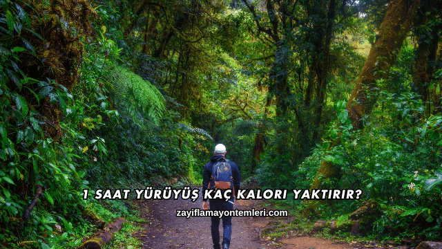 1 Saat Yürüyüş Kaç Kalori Yaktırır?
