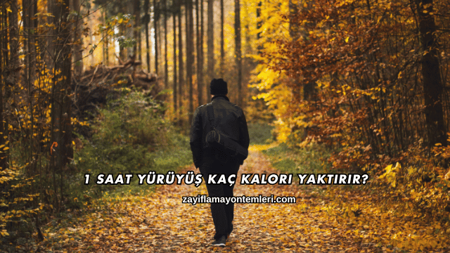 1 Saat Yürüyüş Kaç Kalori Yaktırır?