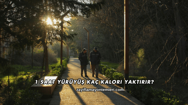 1 Saat Yürüyüş Kaç Kalori Yaktırır?