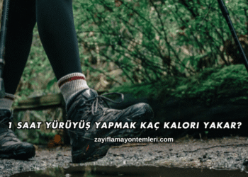 1 Saat Yürüyüş Yapmak Kaç Kalori Yakar?