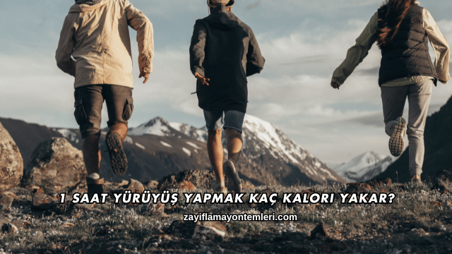 1 Saat Yürüyüş Kaç Kalori?
