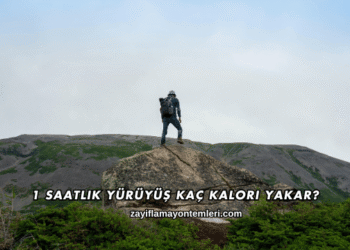 1 Saatlik Yürüyüş Kaç Kalori Yakar?
