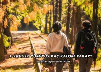 1 Saatlik Yürüyüş Kaç Kalori Yakar?