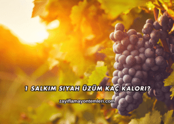 1 Salkım Siyah Üzüm Kaç Kalori?
