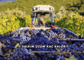 1 Salkım Üzüm Kaç Kalori?