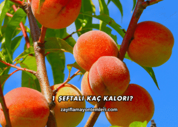1 Şeftali Kaç Kalori?