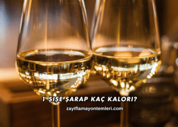1 Şişe Şarap Kaç Kalori?