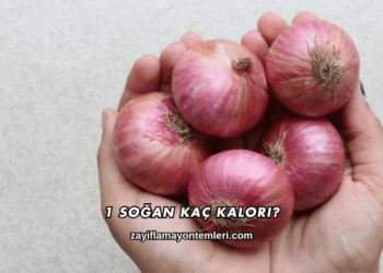 1 Soğan Kaç Kalori?
