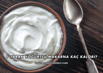 1 Tabak Yoğurtlu Makarna Kaç Kalori?