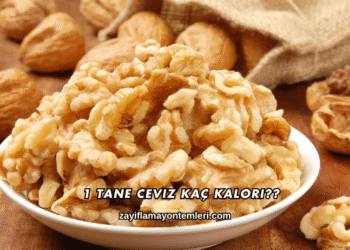 1 Tane Ceviz Kaç Kalori?