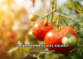 1 Tane Domates Kaç Kalori?