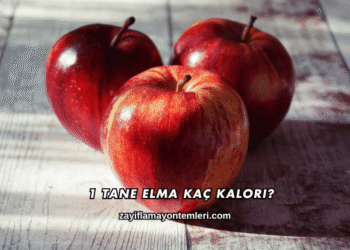 1 Tane Elma Kaç Kalori?
