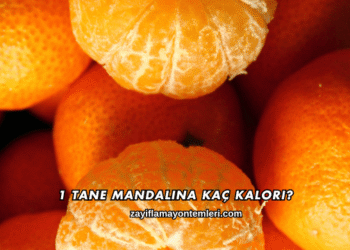 1 Tane Mandalina Kaç Kalori?